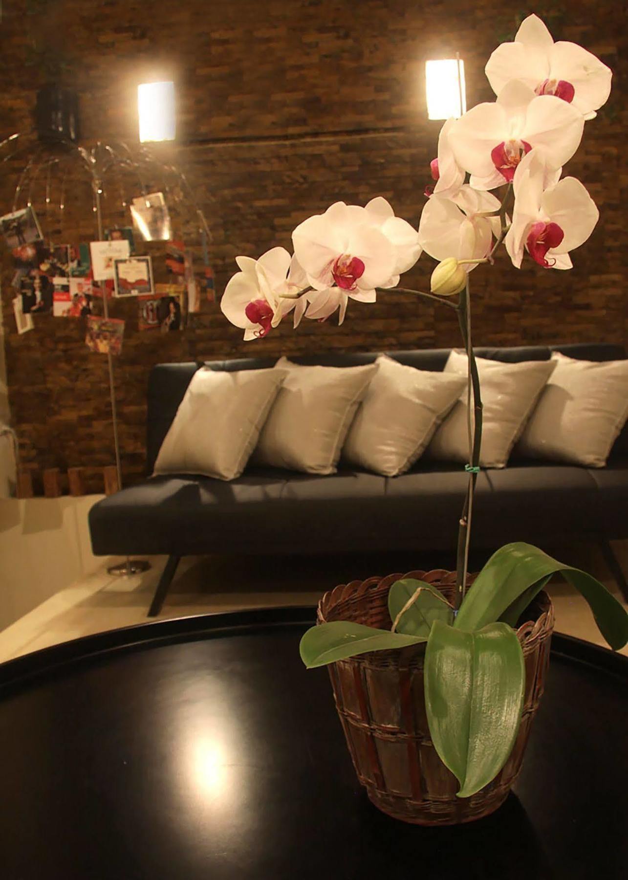 6 Suites Hotel Богота Екстериор снимка